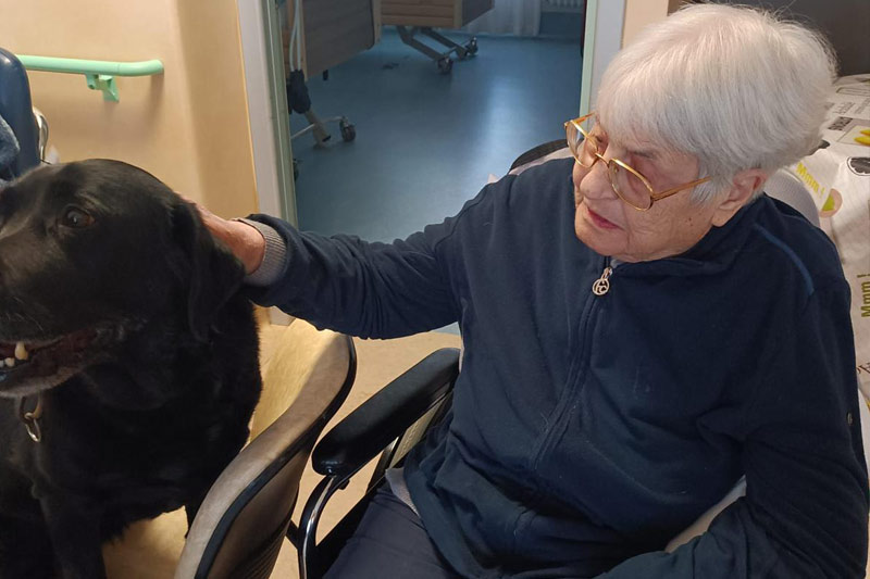 Pet therapy per anziani in casa di riposo RSA