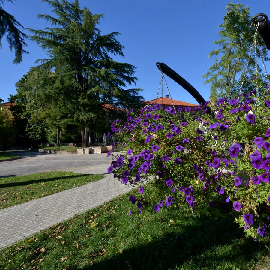 Villa Serena | casa di riposo immersa nel verde vicino a torino