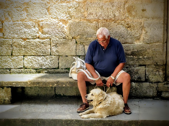 Cane per anziani