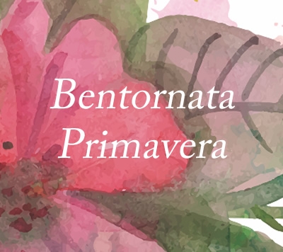 Bentornata Primavera!