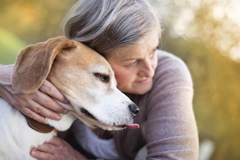 Ansia e depressione dell'anziano: un cane per sconfiggerla