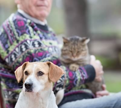 La Pet Therapy dà una zampa alla solitudine