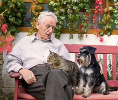 Pet Therapy come attività utile per gli anziani